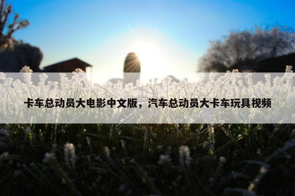 卡车总动员大电影中文版，汽车总动员大卡车玩具视频