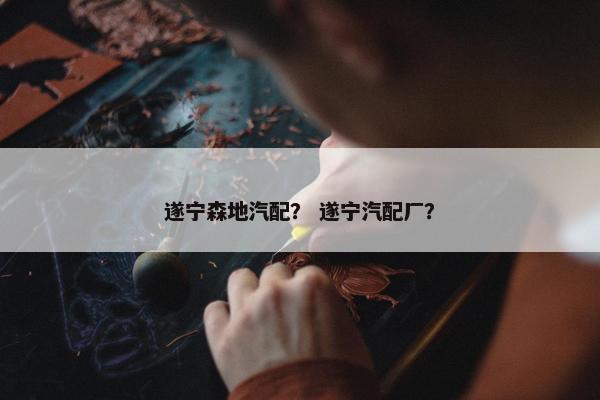 遂宁森地汽配？ 遂宁汽配厂？