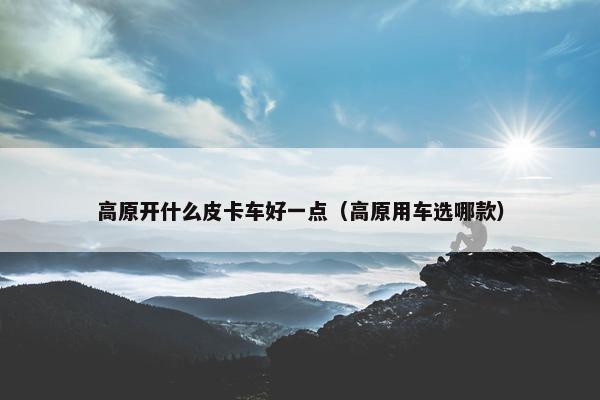 高原开什么皮卡车好一点（高原用车选哪款）