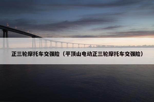 正三轮摩托车交强险（平顶山电动正三轮摩托车交强险）