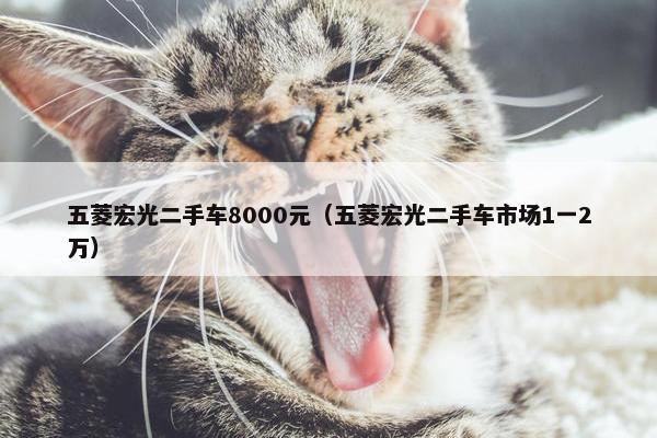五菱宏光二手车8000元（五菱宏光二手车市场1一2万）