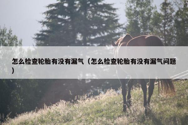 怎么检查轮胎有没有漏气（怎么检查轮胎有没有漏气问题）