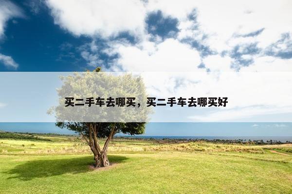 买二手车去哪买，买二手车去哪买好