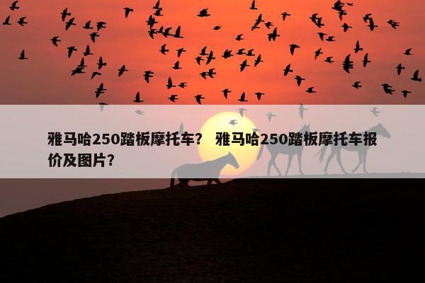 雅马哈250踏板摩托车？ 雅马哈250踏板摩托车报价及图片？