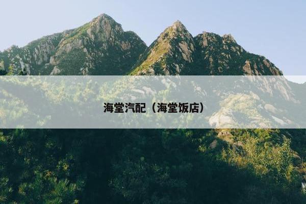 海堂汽配（海堂饭店）