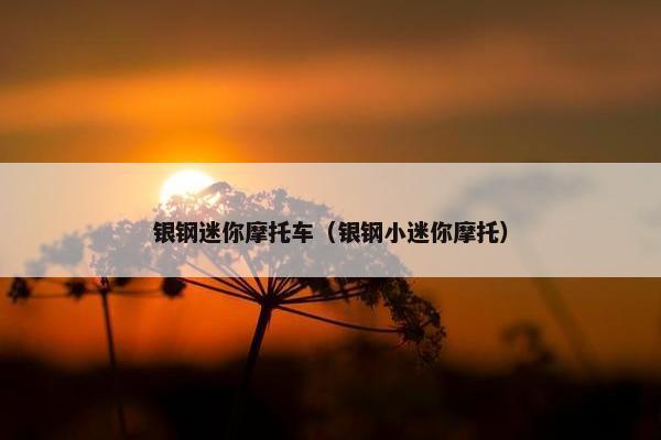 银钢迷你摩托车（银钢小迷你摩托）