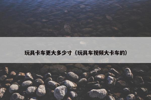 玩具卡车更大多少寸（玩具车视频大卡车的）