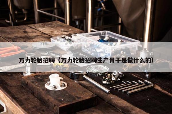 万力轮胎招聘（万力轮胎招聘生产骨干是做什么的）