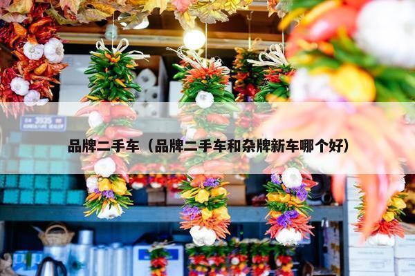 品牌二手车（品牌二手车和杂牌新车哪个好）