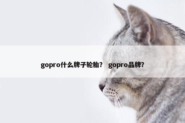 gopro什么牌子轮胎？ gopro品牌？