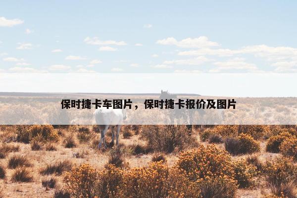 保时捷卡车图片，保时捷卡报价及图片