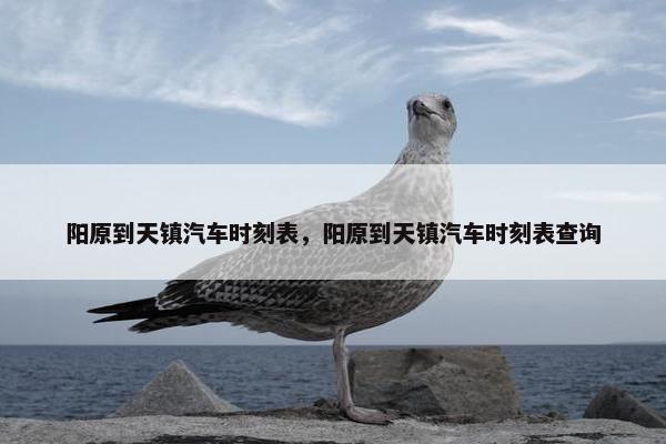 阳原到天镇汽车时刻表，阳原到天镇汽车时刻表查询