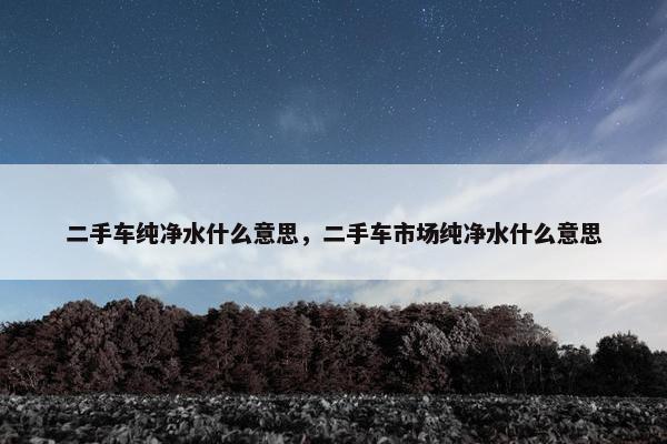 二手车纯净水什么意思，二手车市场纯净水什么意思