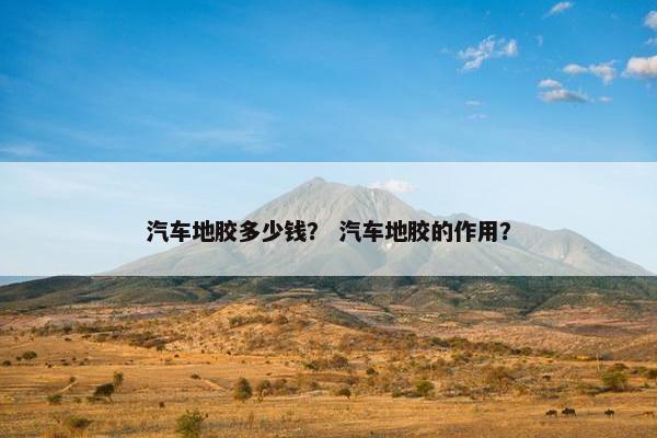 汽车地胶多少钱？ 汽车地胶的作用？