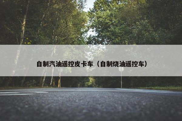 自制汽油遥控皮卡车（自制烧油遥控车）
