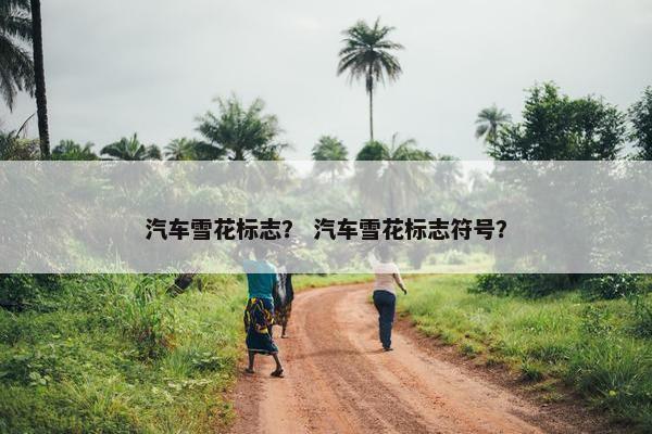 汽车雪花标志？ 汽车雪花标志符号？