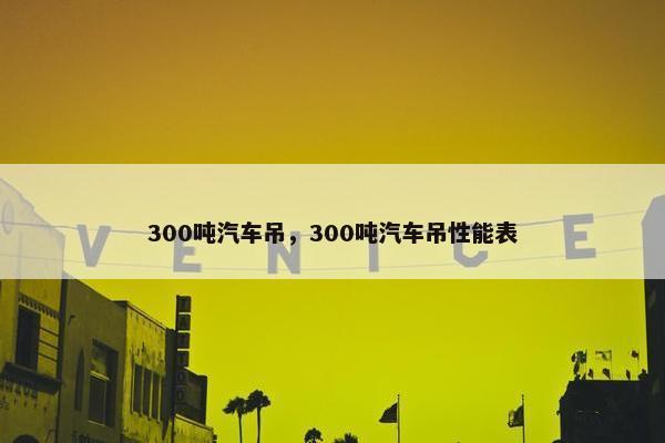 300吨汽车吊，300吨汽车吊性能表