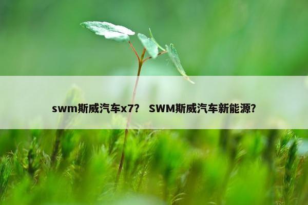 swm斯威汽车x7？ SWM斯威汽车新能源？