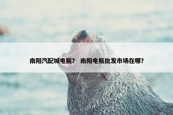 南阳汽配城电瓶？ 南阳电瓶批发市场在哪？