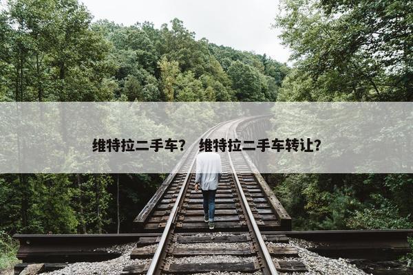 维特拉二手车？ 维特拉二手车转让？