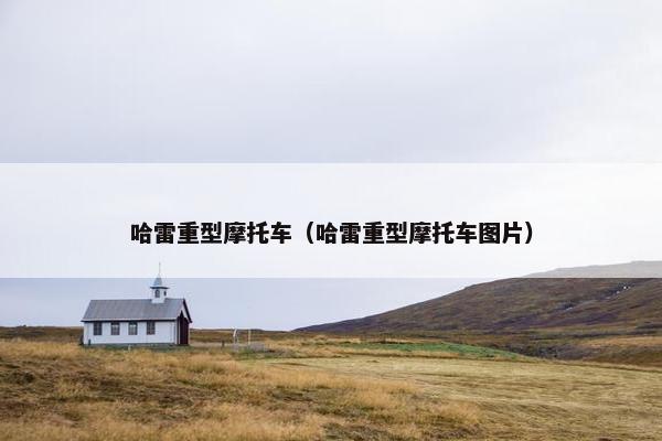 哈雷重型摩托车（哈雷重型摩托车图片）