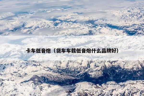 卡车低音炮（货车车载低音炮什么品牌好）