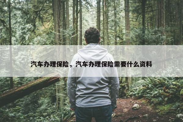 汽车办理保险，汽车办理保险需要什么资料