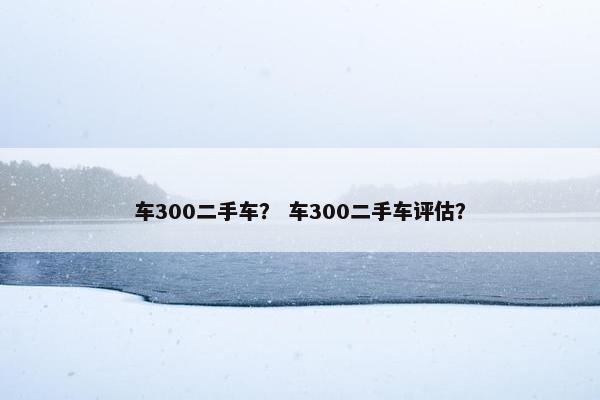 车300二手车？ 车300二手车评估？