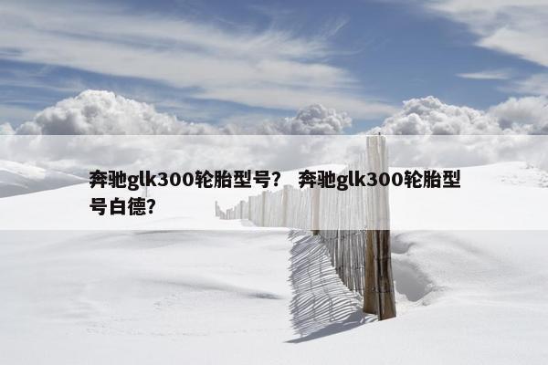 奔驰glk300轮胎型号？ 奔驰glk300轮胎型号白德？