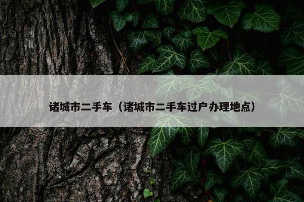 诸城市二手车（诸城市二手车过户办理地点）
