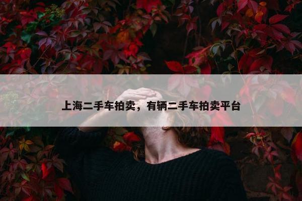 上海二手车拍卖，有辆二手车拍卖平台
