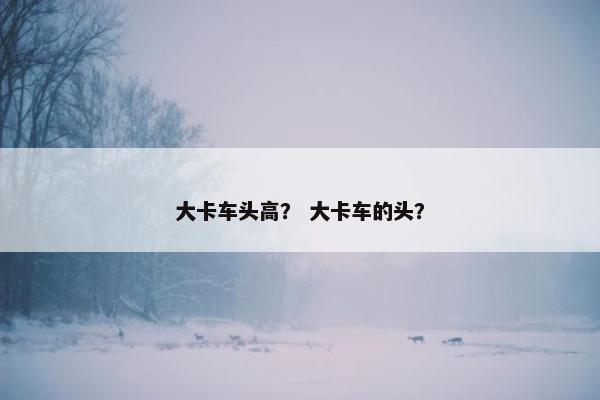 大卡车头高？ 大卡车的头？