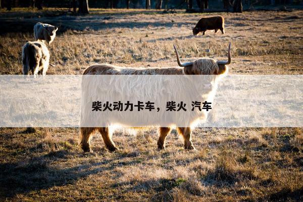 柴火动力卡车，柴火 汽车