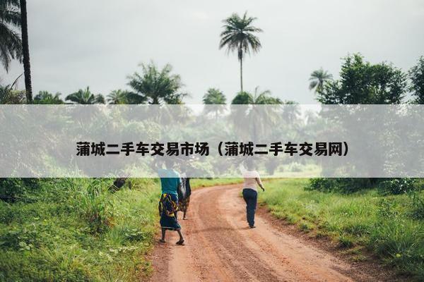 蒲城二手车交易市场（蒲城二手车交易网）