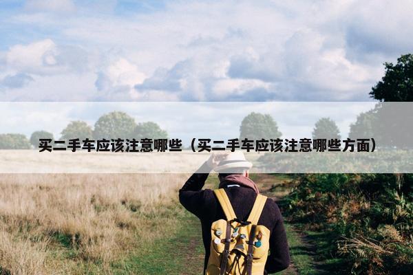 买二手车应该注意哪些（买二手车应该注意哪些方面）