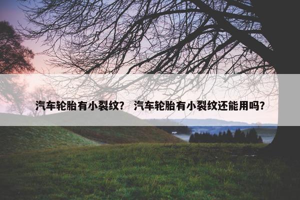 汽车轮胎有小裂纹？ 汽车轮胎有小裂纹还能用吗？
