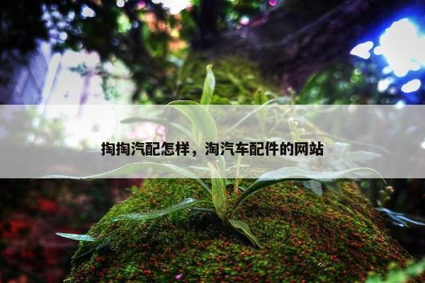 掏掏汽配怎样，淘汽车配件的网站