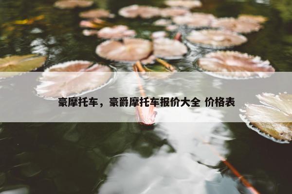 豪摩托车，豪爵摩托车报价大全 价格表