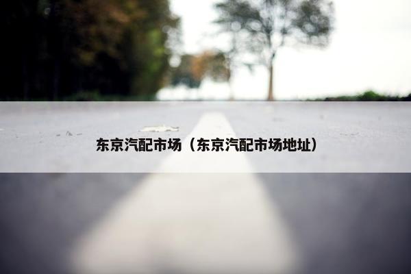 东京汽配市场（东京汽配市场地址）