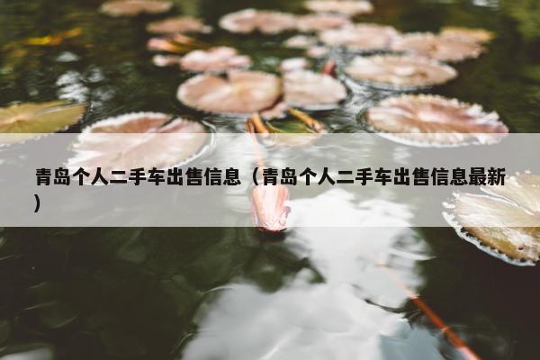 青岛个人二手车出售信息（青岛个人二手车出售信息最新）