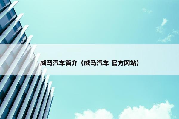 威马汽车简介（威马汽车 官方网站）