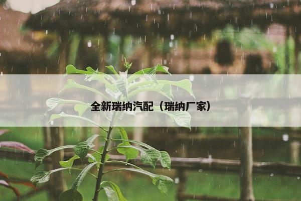 全新瑞纳汽配（瑞纳厂家）