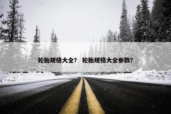 轮胎规格大全？ 轮胎规格大全参数？