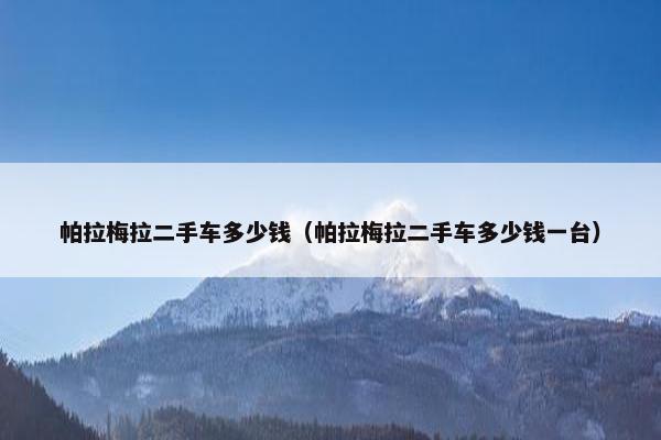 帕拉梅拉二手车多少钱（帕拉梅拉二手车多少钱一台）