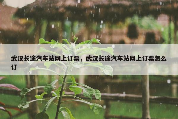 武汉长途汽车站网上订票，武汉长途汽车站网上订票怎么订