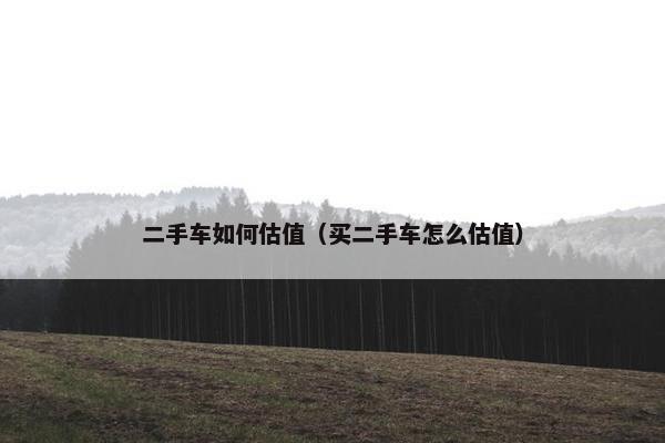 二手车如何估值（买二手车怎么估值）