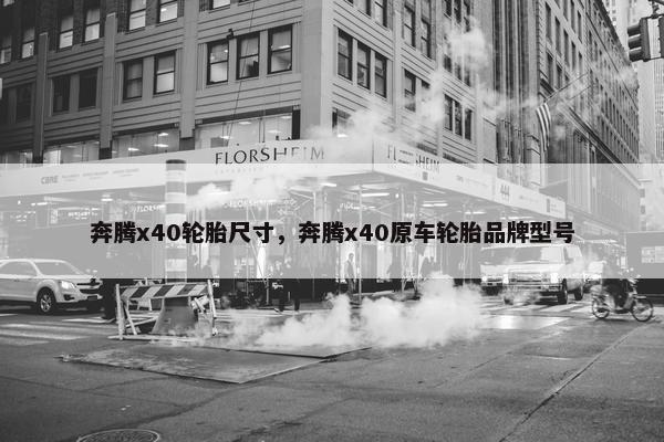 奔腾x40轮胎尺寸，奔腾x40原车轮胎品牌型号