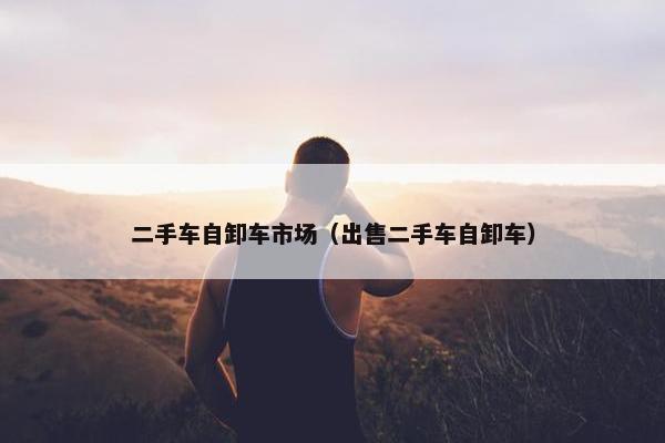 二手车自卸车市场（出售二手车自卸车）