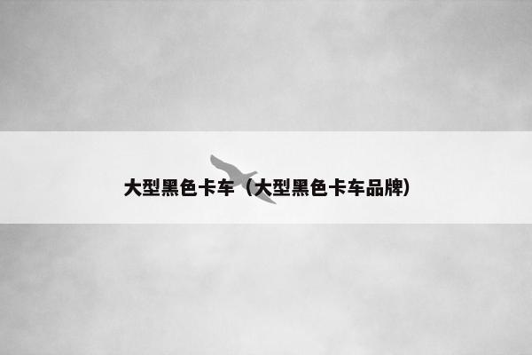大型黑色卡车（大型黑色卡车品牌）