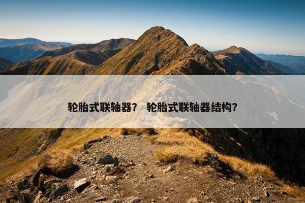 轮胎式联轴器？ 轮胎式联轴器结构？